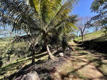 Prodej pozemku, Coxen Hole, Roatán, Honduras, 1872 m2