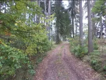 Dražba pozemku, Lázně Bělohrad, 2376 m2