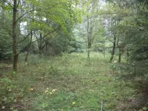 Dražba louky, Maňovice, 2639 m2