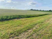 Prodej pole, Oldřichovice, 250 m2
