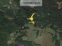 Prodej louky, Přimda - Málkov, 1766 m2