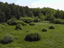 Prodej pozemku, Jílovice, 20535 m2