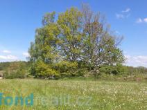 Prodej pozemku, Číměř - Dobrá Voda, 319 m2