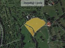 Prodej louky, Troskovice - Tachov, 5567 m2