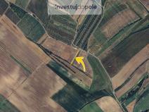 Prodej pole, Šardice, 1199 m2