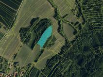 Prodej lesa, Starý Jičín, 12582 m2