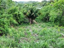 Prodej pozemku, Coxen Hole, Roatán, Honduras, 716 m2