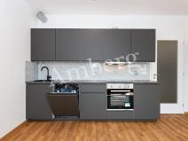 Pronájem bytu 1+kk, Praha - Žižkov, Olgy Havlové, 34 m2