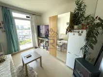 Pronájem bytu 1+kk, Brno, Mlýnská, 23 m2