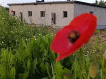 Pronájem rodinného domu, Havířov, Farská, 63 m2