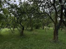 Prodej pozemku pro bydlení, Brno, Moravanské lány, 1096 m2