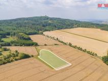 Prodej louky, Šťáhlavy, 8007 m2