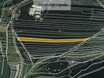 Prodej lesa, Lužná, 10470 m2