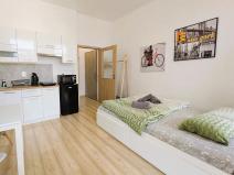 Pronájem bytu 1+kk, Brno, Vlhká, 21 m2