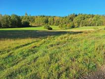 Prodej pozemku pro bydlení, Cehnice, 4046 m2