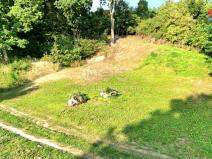 Prodej zahrady, Krnov, Vysoký břeh, 487 m2