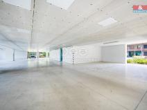 Pronájem garáže, Plzeň, 25 m2