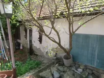 Dražba rodinného domu, Borkovany, 245 m2