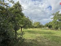 Prodej zahrady, Husinec, Na Kazatelně, 1198 m2