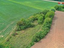 Prodej lesa, Velké Všelisy, 1302 m2