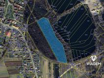 Prodej podílu lesa, Poděbrady, 2045 m2