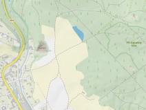 Prodej lesa, Lázně Bělohrad, 17730 m2