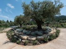 Prodej rodinného domu, Vourvourou, Sithonia, Chalkidiki, Řecko, 115 m2