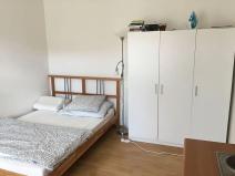 Pronájem bytu 1+kk, Brno, Obilní trh, 21 m2