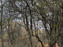 Prodej pozemku, Praha, 9174 m2