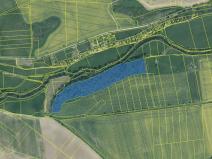 Prodej podílu lesa, Dolní Lukavice, 7998 m2