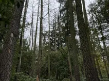 Prodej podílu pozemku, Plaňany, 23569 m2