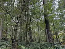 Prodej podílu pozemku, Plaňany, 23569 m2