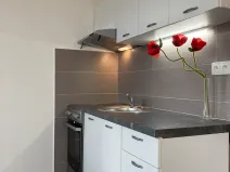Pronájem bytu 1+1, Chomutov, 17. listopadu, 36 m2