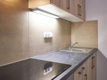 Pronájem bytu 1+kk, Plzeň, Rejskova, 50 m2