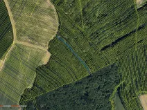 Prodej lesa, Mistřice, 1791 m2