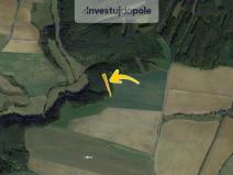 Prodej lesa, Kozojedy, 2821 m2