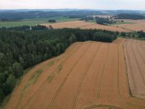 Prodej pole, Blažejov, 17187 m2