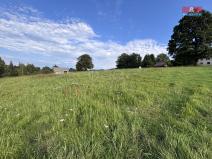 Prodej pozemku pro bydlení, České Petrovice, 3216 m2