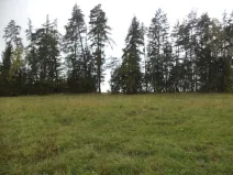 Dražba louky, Vlastiboř, 23043 m2