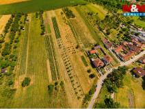 Prodej pozemku pro bydlení, Borkovany, 7835 m2