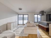 Prodej bytu 2+kk, Praha - Žižkov, U Viktorie, 67 m2