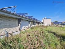 Prodej výrobních prostor, Radslavice, 3300 m2