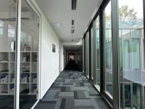 Pronájem kanceláře, Brno, Trnitá, 171 m2