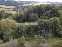 Prodej zahrady, Kasejovice, 4837 m2