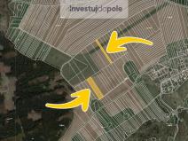 Prodej pole, Ostrov u Macochy, 8074 m2