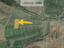 Prodej pole, Krušovice, 22900 m2