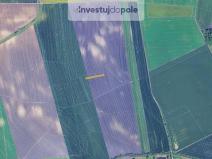 Prodej pole, Otmarov, 1360 m2
