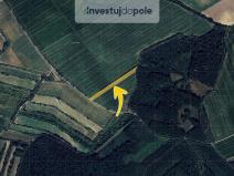 Prodej zahrady, Hovorany, 5482 m2