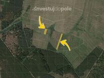 Prodej louky, Kladruby nad Labem - Kolesa, 2604 m2