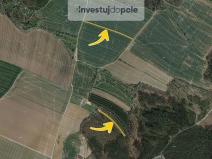 Prodej lesa, Boskovice, Šemberova, 1395 m2